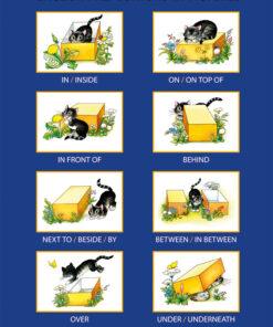 Postkaart English prepositions in pictures